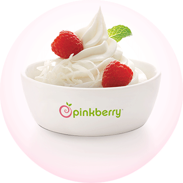 Pinkberry Franchising Information